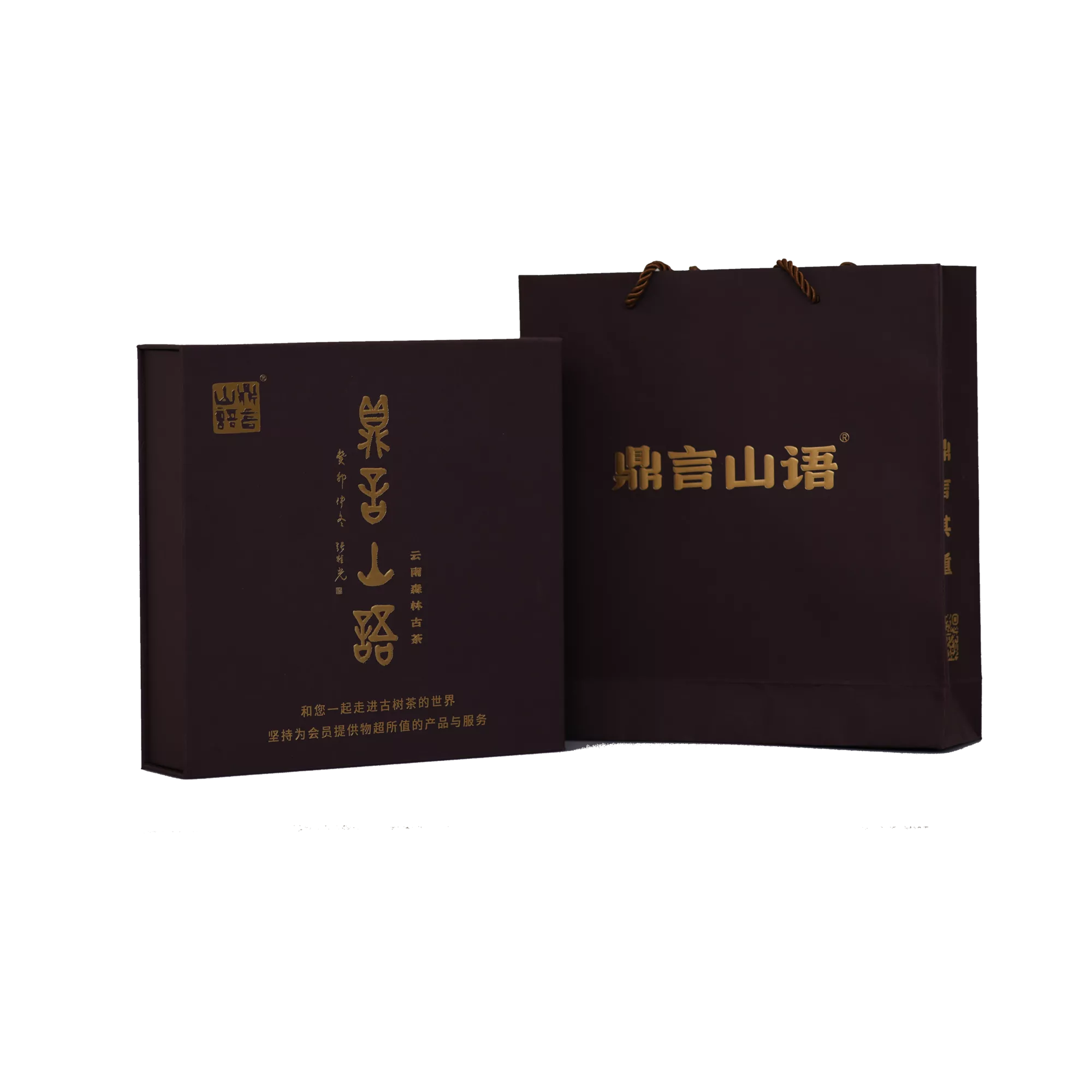 启顺古树普洱生茶